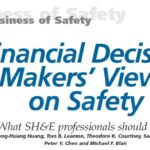 Financial decision makers' view on safety.